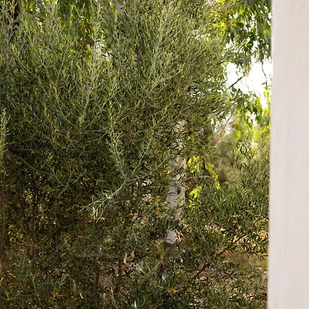 Les De Chateau Roussillon - Les Collection Aparthotel 4*